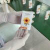 ครีมกันแดด Merida-INTENSIVE UV SUNFLOWER STICK - Image 34