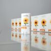 ครีมกันแดด Merida-INTENSIVE UV SUNFLOWER STICK - Image 39