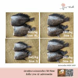 ปลาสลิด Mr.New (Homemade) SIZE M ปลาสลิดบางบ่อแดดเดียว เกรดพรีเมียม