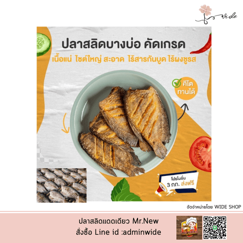 ปลาสลิด Mr.New (Homemade) SIZE S ปลาสลิดบางบ่อแดดเดียว เกรดพรีเมียม - Image 5