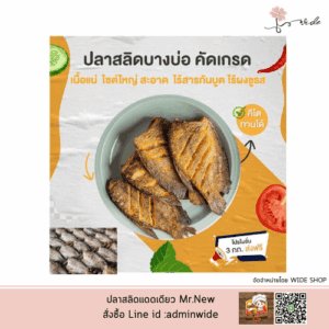 ปลาสลิด Mr.New (Homemade) SIZE L ปลาสลิดบางบ่อแดดเดียว เกรดพรีเมียม