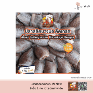 ปลาสลิด Mr.New (Homemade) SIZE L ปลาสลิดบางบ่อแดดเดียว เกรดพรีเมียม
