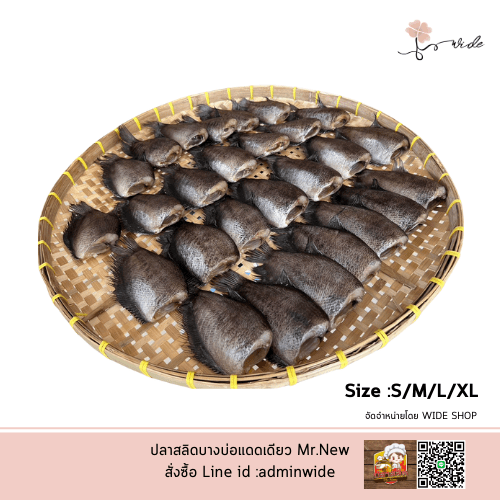 ปลาสลิด Mr.New (Homemade) SIZE M ปลาสลิดบางบ่อแดดเดียว เกรดพรีเมียม - Image 3
