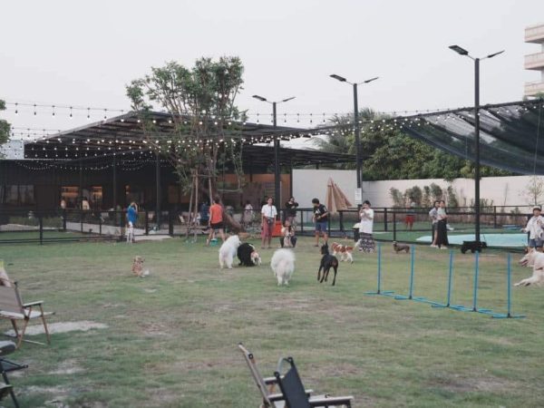 LINE_ALBUM__240520_99-1024x684